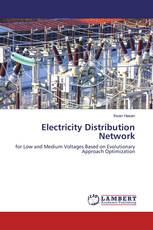 Electricity Distribution Network