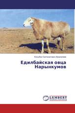 Едилбайская овца Нарынкумов