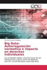 Big Data: Autorregulación normativa e impacto en derechos individuales