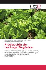 Producción de Lechuga Orgánica