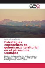 Estrategias emergentes de gobernanza territorial en el páramo de Sumapaz
