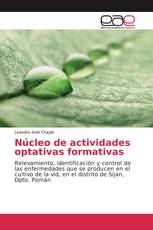 Núcleo de actividades optativas formativas