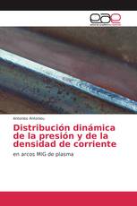 Distribución dinámica de la presión y de la densidad de corriente