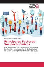 Principales Factores Socioeconómicos