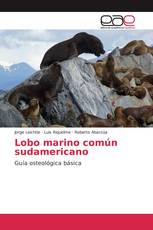 Lobo marino común sudamericano