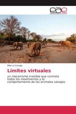 Límites virtuales