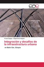 Integración y desafíos de la infraestructura urbana