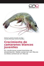 Crecimiento de camarones blancos juveniles