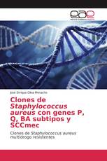 Clones de Staphylococcus aureus con genes P, Q, BA subtipos y SCCmec