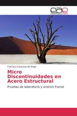 Micro Discontinuidades en Acero Estructural