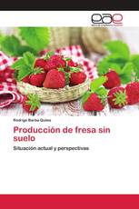 Producción de fresa sin suelo