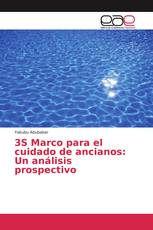 3S Marco para el cuidado de ancianos: Un análisis prospectivo