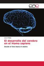 El desarrollo del cerebro en el Homo sapiens