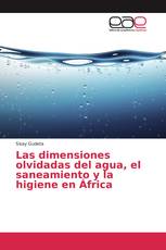 Las dimensiones olvidadas del agua, el saneamiento y la higiene en África