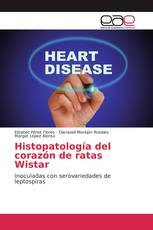 Histopatología del corazón de ratas Wistar