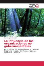 La influencia de las organizaciones no gubernamentales