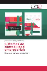 Sistemas de contabilidad empresarial: