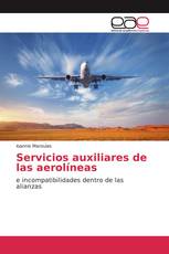 Servicios auxiliares de las aerolíneas