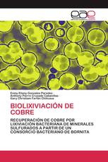 BIOLIXIVIACIÓN DE COBRE