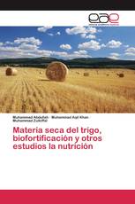 Materia seca del trigo, biofortificación y otros estudios la nutrición