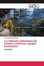 La relación enfermero de enlace / enfermo / grupo doméstico