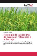 Fisiología de la cosecha de arroz con referencia a la luz baja