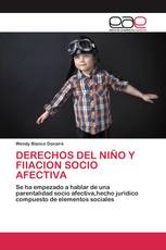 DERECHOS DEL NIÑO Y FIIACION SOCIO AFECTIVA