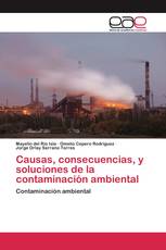 Causas, consecuencias, y soluciones de la contaminación ambiental