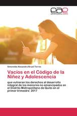 Vacíos en el Código de la Niñez y Adolescencia