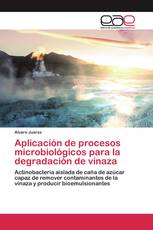 Aplicación de procesos microbiológicos para la degradación de vinaza