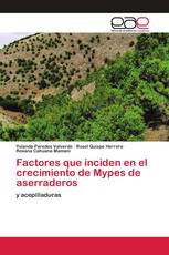 Factores que inciden en el crecimiento de Mypes de aserraderos