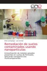 Remediación de suelos contaminados usando nanopartículas