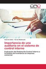 Importancia de una auditoria en el sistema de control interno