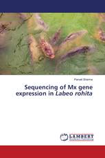 Sequencing of Mx gene expression in Labeo rohita