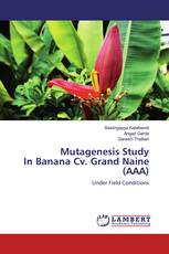 Mutagenesis Study In Banana Cv. Grand Naine (AAA)