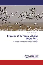 Process of Foreign Labour Migration: