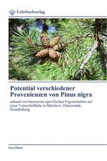 Potential verschiedener Provenienzen von Pinus nigra