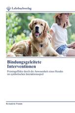 Bindungsgeleitete Interventionen