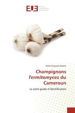 Champignons Termitomyces du Cameroun