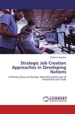 Strategic Job Creation Approaches in Developing Nations