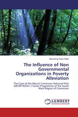 The Influence of Non Governmental Organizations in Poverty Alleviation