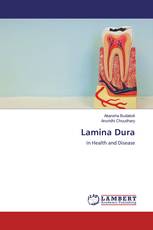 Lamina Dura