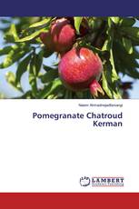 Pomegranate Chatroud Kerman