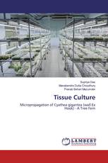 Tissue Culture