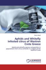 Aphids and Whitefly Infested citrus of Westren Crete Greece