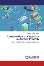 Conservation of Electricity in Andhra Pradesh