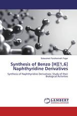 Synthesis of Benzo [H][1,6] Naphthyridine Derivatives