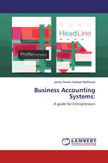 Business Accounting Systems:
