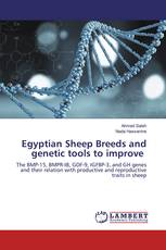 Egyptian Sheep Breeds and genetic tools to improve