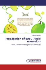 Propagation of BAEL (Aegle marmelos)